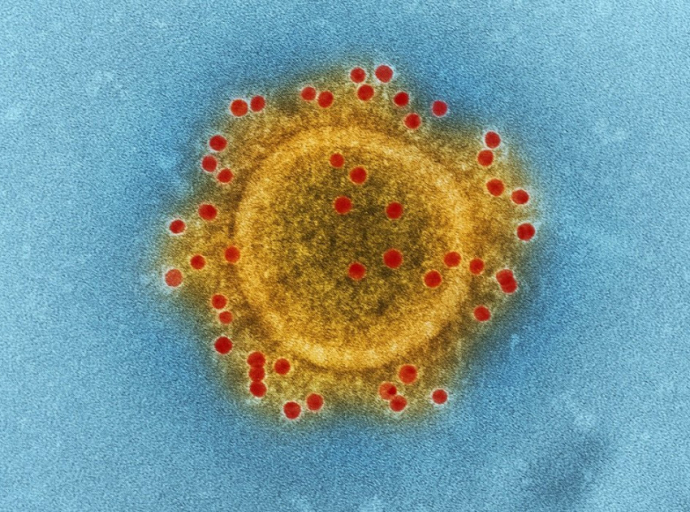 Γρίπη της ντομάτας: Νέος μεταδοτικός ιός που απειλεί τα παιδιά
